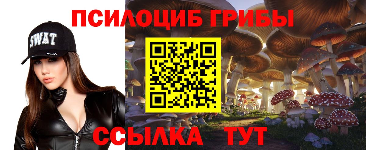 Галлюциногенные грибы мухоморы Армавир